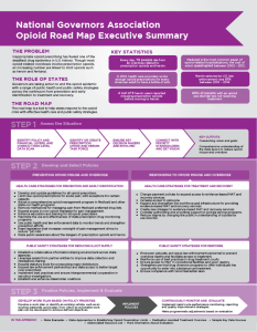 NGA Opioid Report Executive Summary